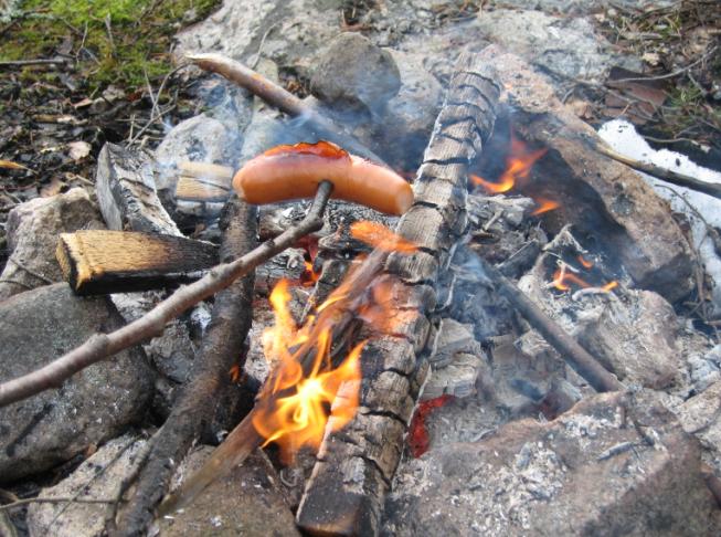 [Not a Single Fish in Lake Saimaa, but...]